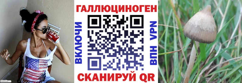 Галлюциногенные грибы Psilocybine cubensis  blacksprut как войти  Анжеро-Судженск 